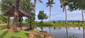 Hotels in Mae Taeng District
